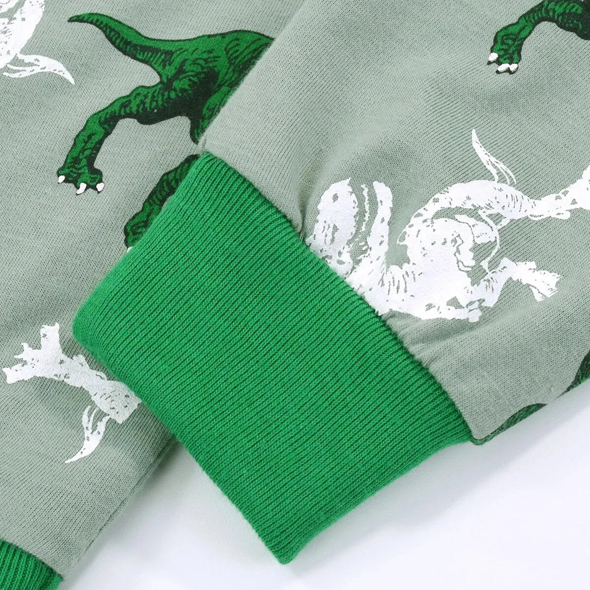 Boys Dinosaur Pajama Set – Ages 2–9