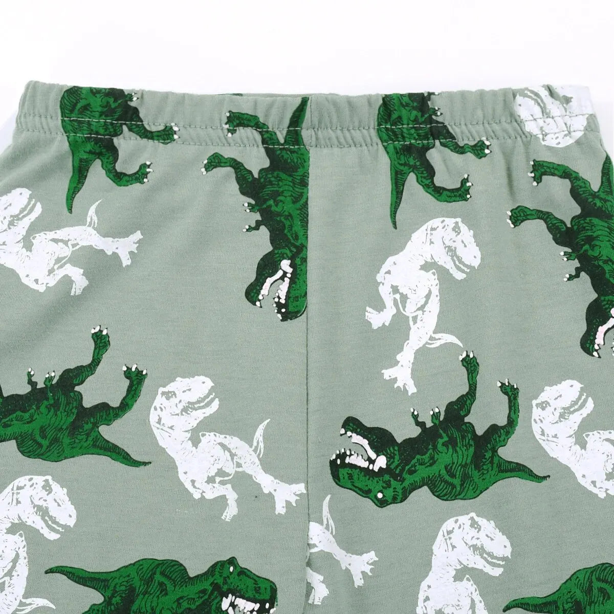 Boys Dinosaur Pajama Set – Ages 2–9