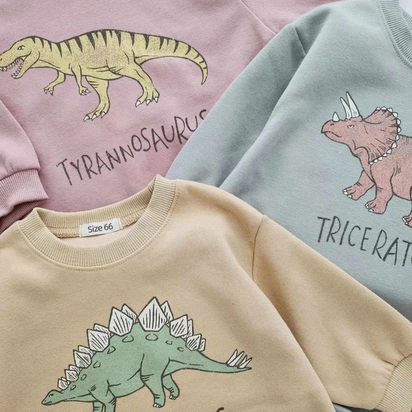 Felpa con Chiusura Pagliaccetto e Dinosauri Multivariante