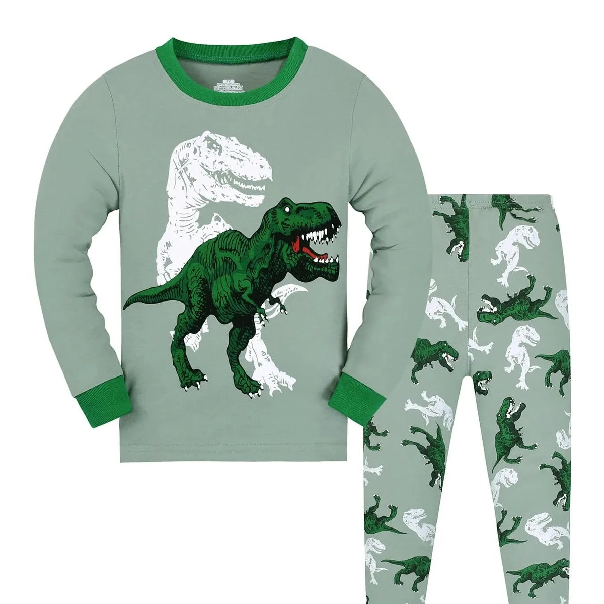 Boys Dinosaur Pajama Set – Ages 2–9